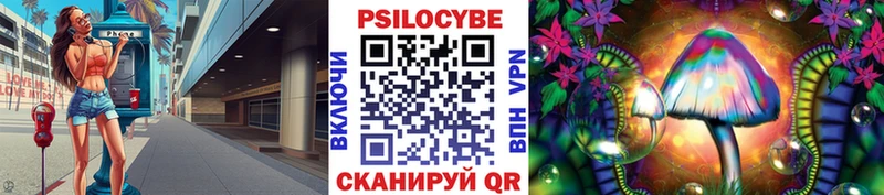 Псилоцибиновые грибы MAGIC MUSHROOMS  где найти наркотики  Баймак 